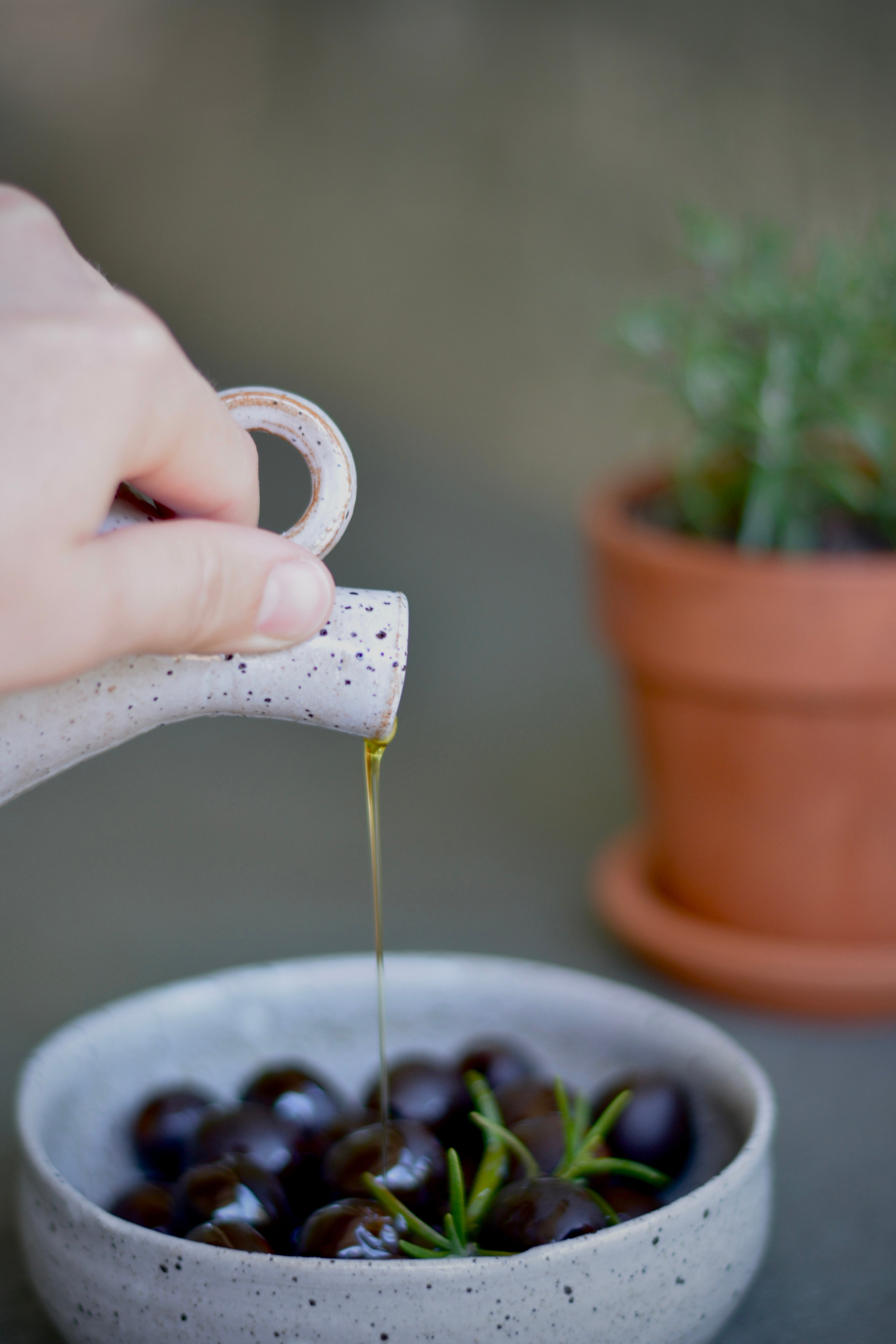 Olive Grove Cruet