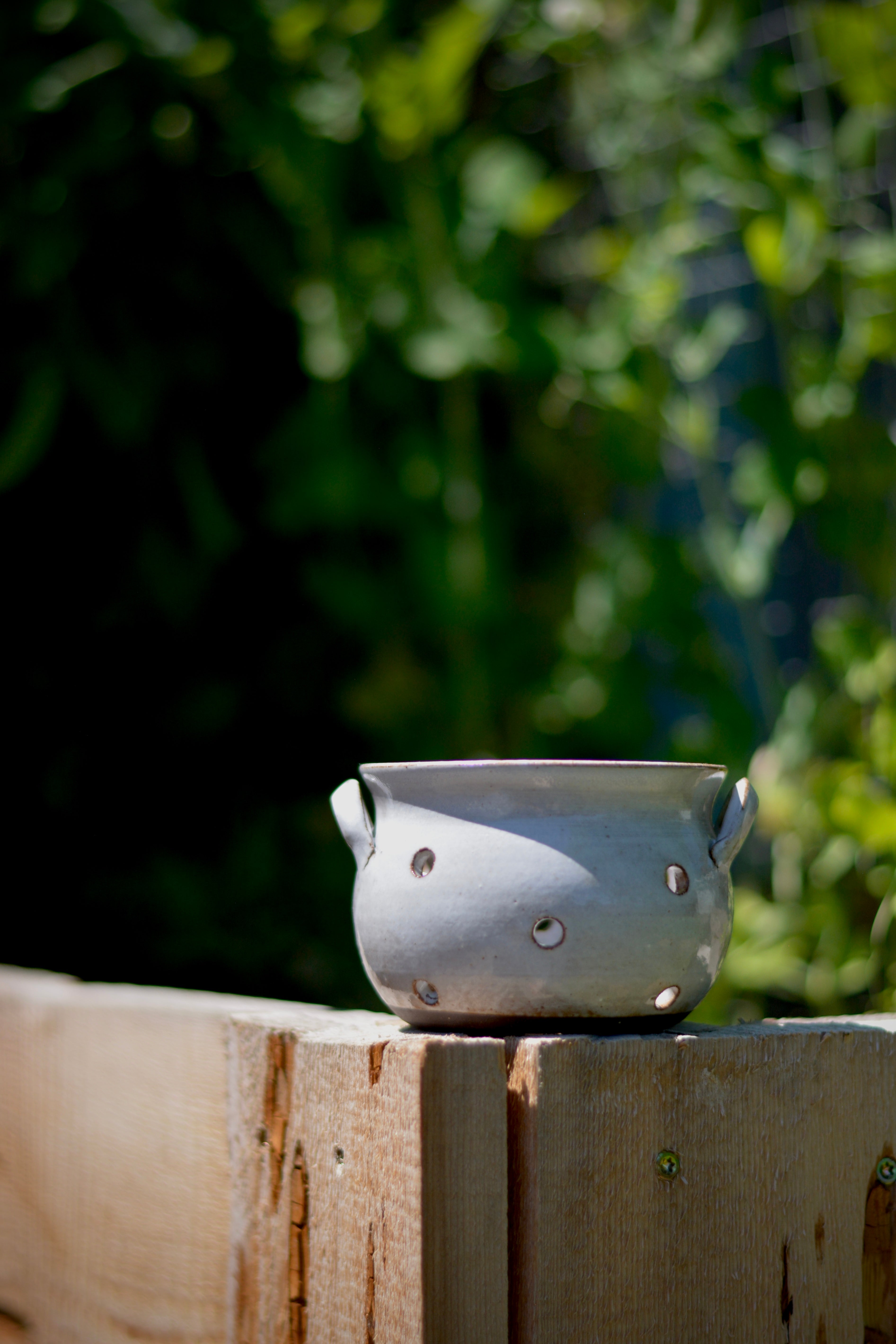Garden Rinse Bowl