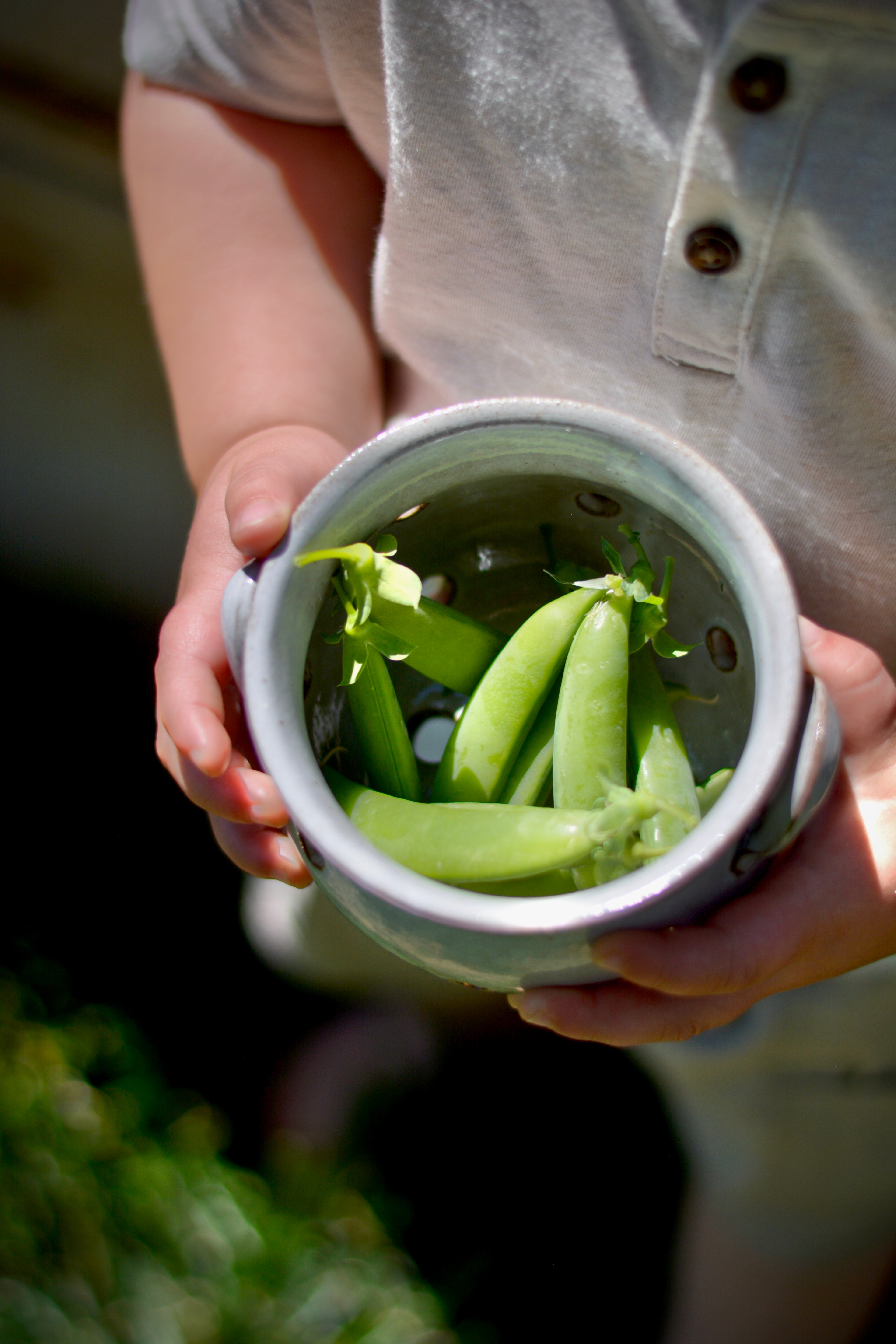 Garden Rinse Bowl